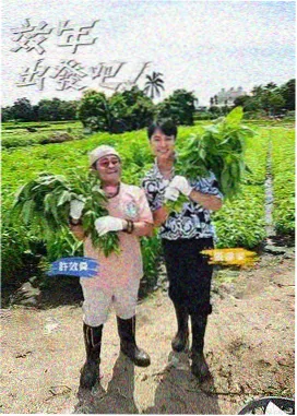 盗墓探险剧排行